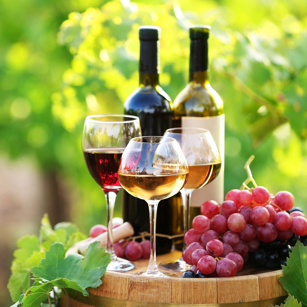 Verschiedene Weinsorten und die dazugehörigen Weintrauben